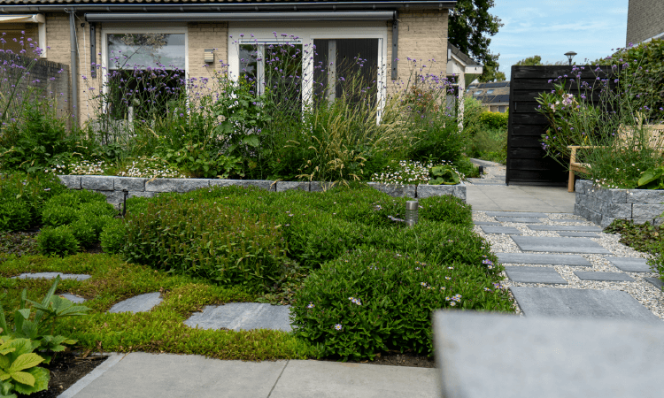 Hoveniersbedrijf Loek Barte 3