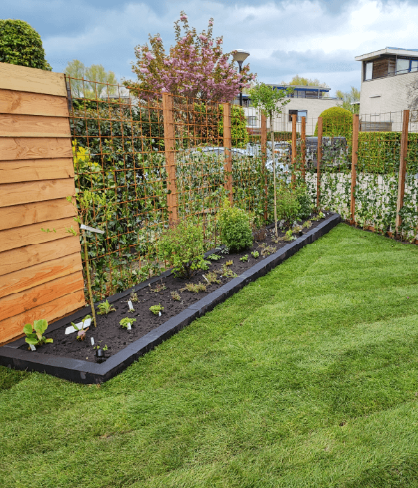 Hoveniersbedrijf Loek Barte Tuinaanleg Tuinsafscheiding 2