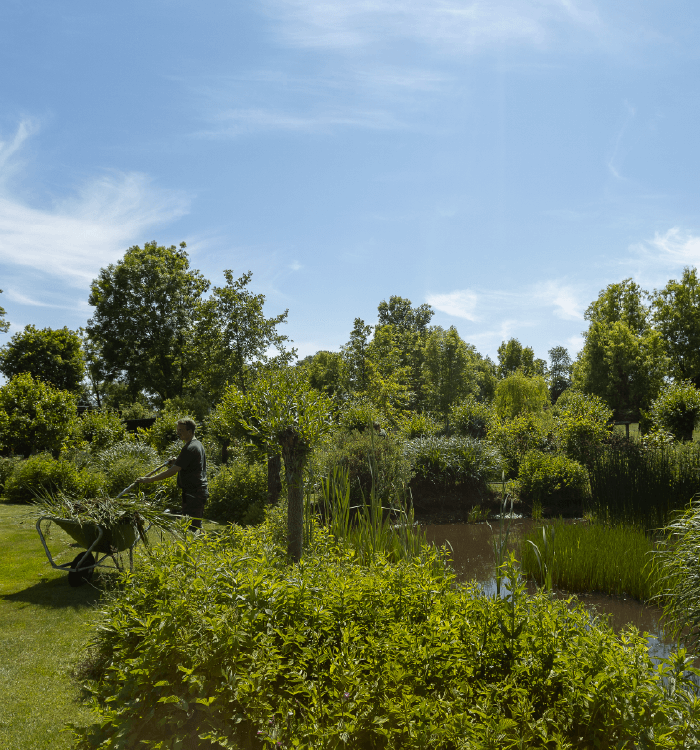 Hoveniersbedrijf Loek Barte Tuinaanleg Utrecht 1