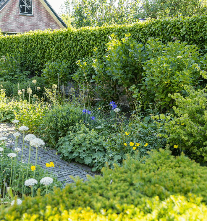 Hoveniersbedrijf Loek Barte Tuinadvies Tuinbemesting 4