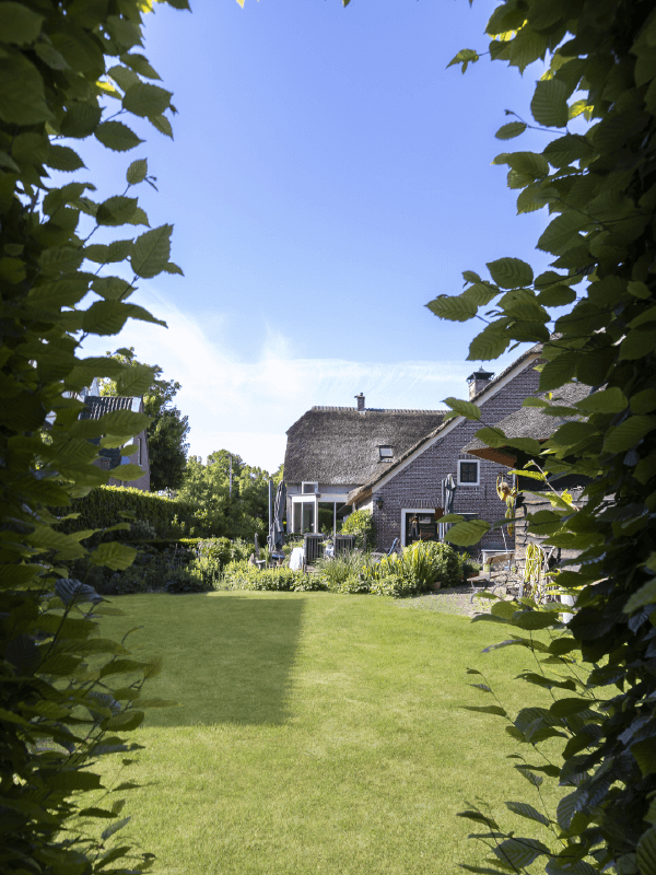 Hoveniersbedrijf Loek Barte Tuinonderhoud Gazon onderhoud 1