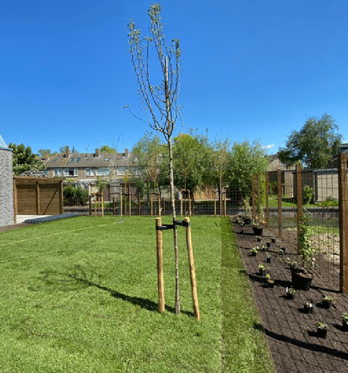 Hoveniersbedrijf Loek Barte Tuinonderhoud Gazon onderhoud 11