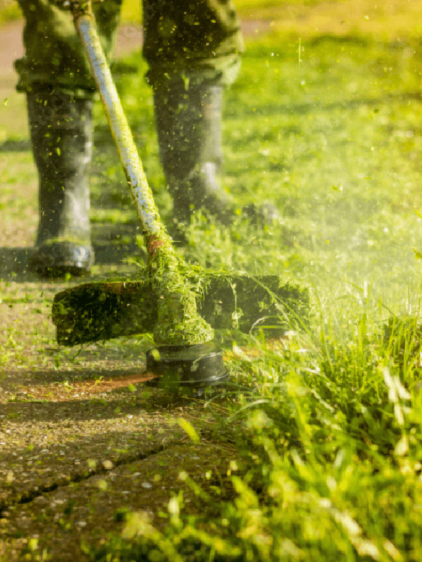Hoveniersbedrijf Loek Barte Tuinonderhoud Onkruidbestrijding 1